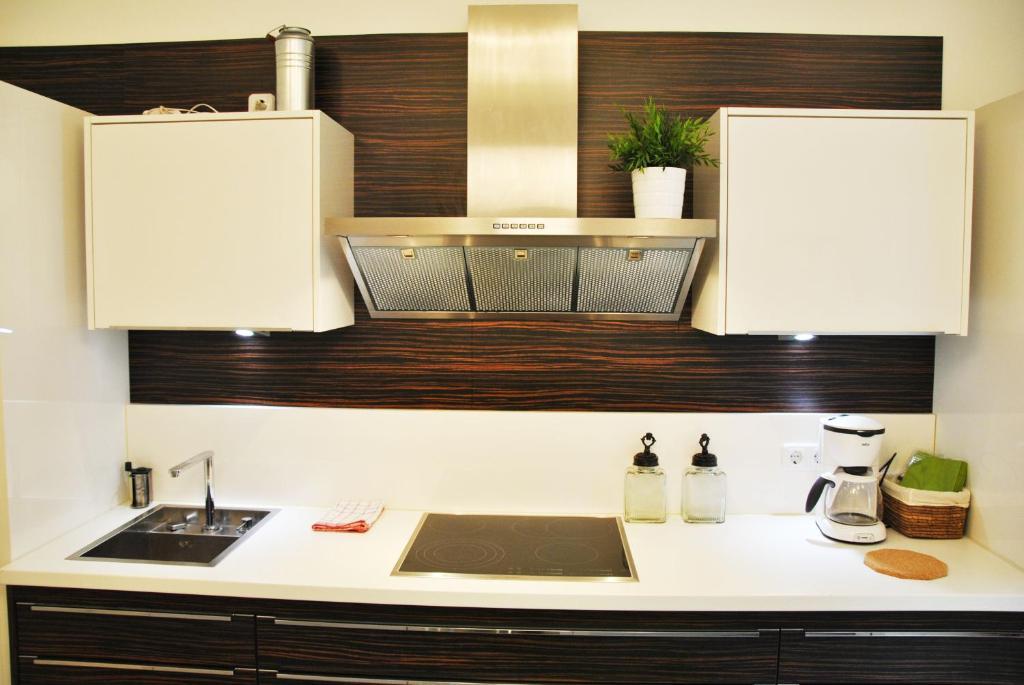 Schoenbrunn Park Apartement Wien Rum bild